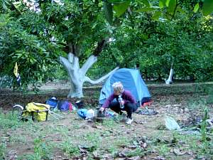 DSC02174 Avocado field campsite near Periban.jpg